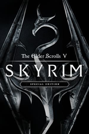 Skyrim Together key art